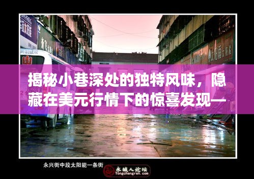 美元行情下的惊喜发现，小巷深处的独特风味探索之旅