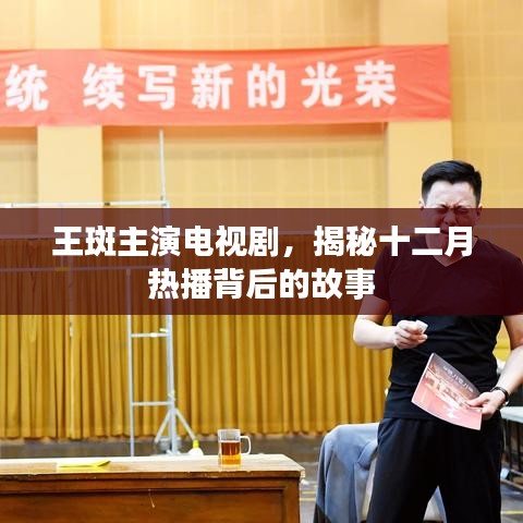 王斑主演电视剧揭秘，十二月热播背后的故事探秘