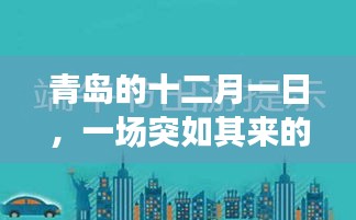 青岛十二月一日疫情下的温馨日常