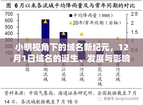小明视角下的域名新纪元，从诞生到发展及其影响