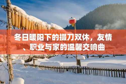 冬日暖阳下的掇刀双休，友情、职业与家庭的温馨协奏曲