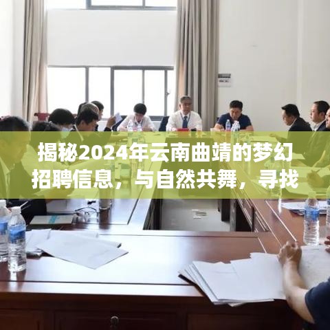 揭秘梦幻招聘之旅，云南曲靖寻找内心宁静与自然共舞之旅的职场梦想家招募启事