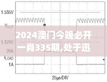 2024澳门今晚必开一肖335期,处于迅速响应执行_MTF46.266触感版