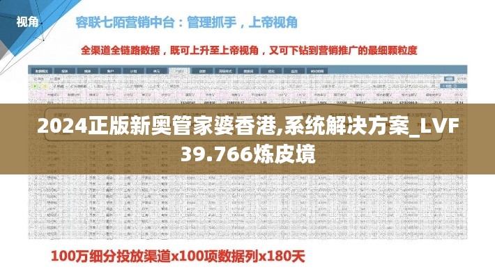 2024正版新奥管家婆香港,系统解决方案_LVF39.766炼皮境