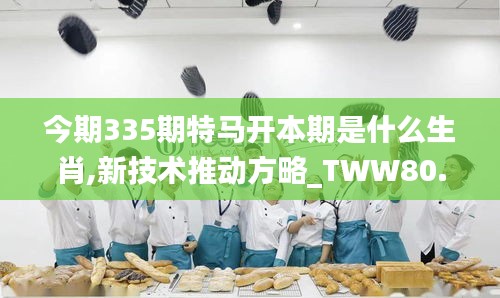 今期335期特马开本期是什么生肖,新技术推动方略_TWW80.328按需版