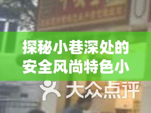 探秘小巷深处的安全风尚特色小店，揭秘十二月最新安全检查标准与特色风采
