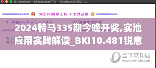 2024特马335期今晚开奖,实地应用实践解读_BKI10.481锐意版