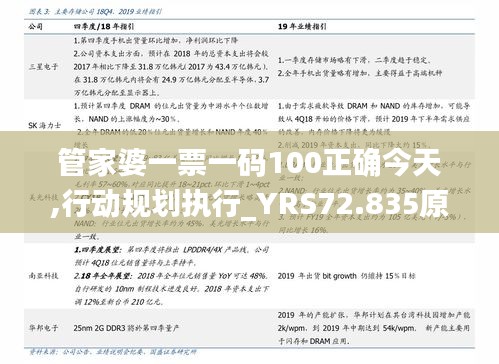 管家婆一票一码100正确今天,行动规划执行_YRS72.835原创性版