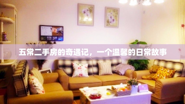 五常二手房奇遇记，温馨日常故事开启篇章