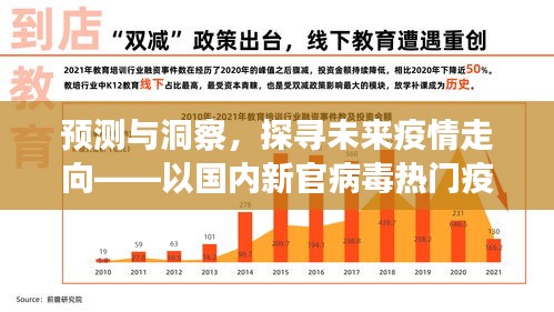 预测与洞察，2024年视角下的国内新冠病毒疫情走向探析