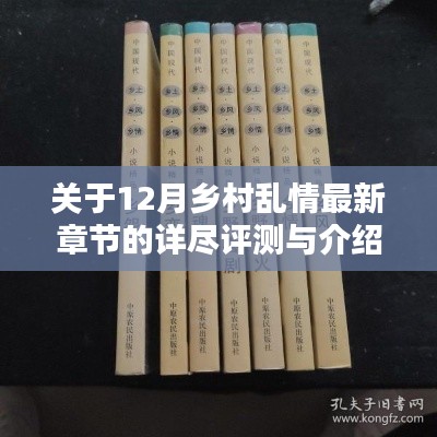 12月乡村乱情最新章节深度评测与介绍