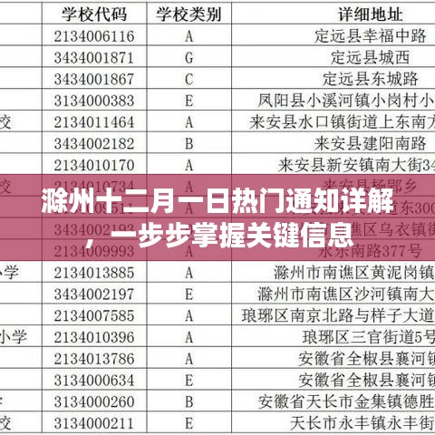 滁州十二月一日热门通知详解，掌握关键信息步骤指南