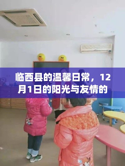 临西县温馨日常，阳光下的友情交响曲——12月1日记录