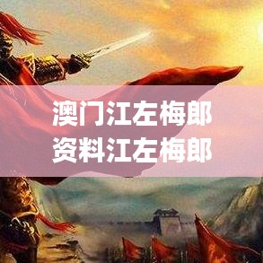 澳门江左梅郎资料江左梅郎网,决策信息解释_DLQ63.750丰富版