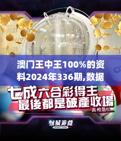 澳门王中王100%的资料2024年336期,数据详解说明_JEU34.523薪火相传版