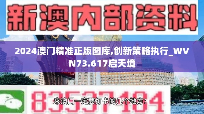 2024澳门精准正版图库,创新策略执行_WVN73.617启天境