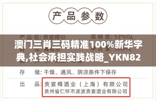 澳门三肖三码精准100%新华字典,社会承担实践战略_YKN82.991影像版