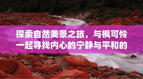 枫可怜的心灵之旅，探寻自然美景中的宁静与奇迹