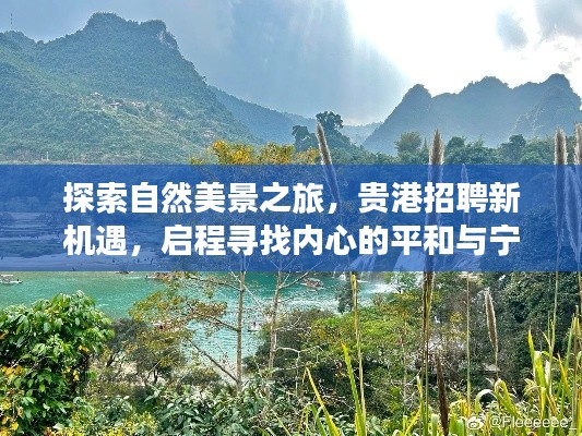 自然探索之旅与贵港新机遇，寻找内心的平和与宁静（最新预测）