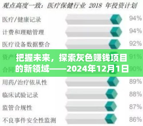 把握未来机遇，探索灰色赚钱项目新领域——挑战与机遇并存于2024年12月的新篇章