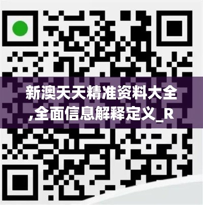新澳天天精准资料大全,全面信息解释定义_REN45.834领航版