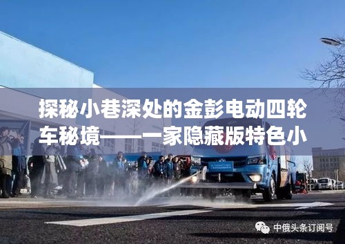 探秘小巷深处的金彭电动四轮车秘境，非凡特色小店之旅