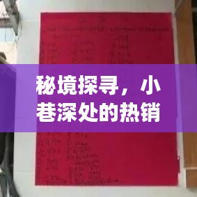 秘境探寻，揭秘历史特色小店非凡之旅——探寻小巷深处的热销传奇之十二月一日的2077特色小店