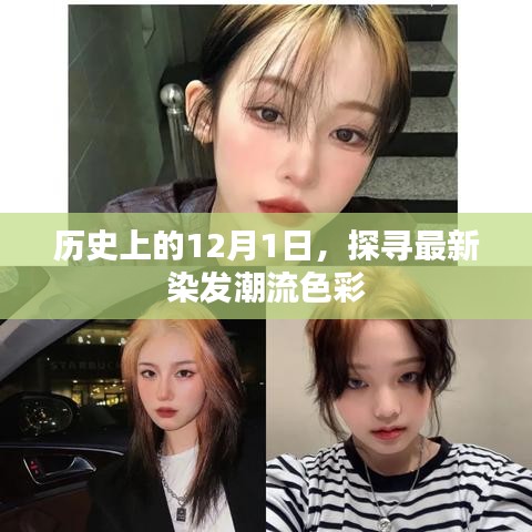 探寻历史染发潮流，揭秘最新染发色彩趋势的12月1日记忆