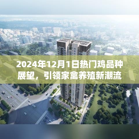2024年热门鸡品种展望，引领家禽养殖新潮流