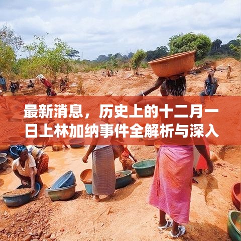 十二月一日上林加纳事件深度解析与了解