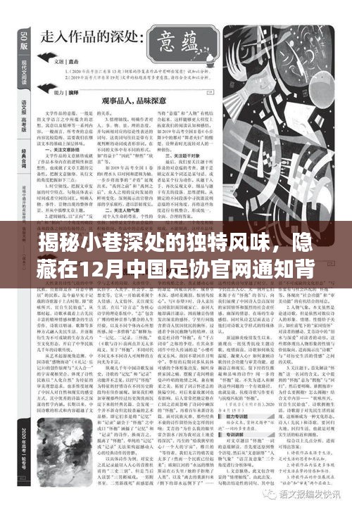 揭秘足协官网通知背后的惊喜小巷美食店，十二月独特风味探索之旅