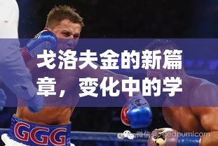戈洛夫金的新篇章，学习之旅中的变化与自信成就之源