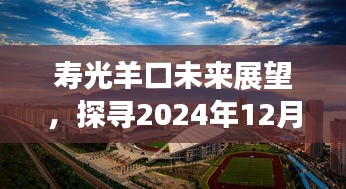寿光羊口未来展望，探寻2024年12月的新篇章，展望羊口发展新篇章