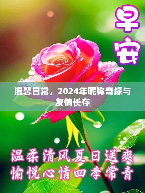 温馨日常，2024年昵称奇缘与友情永恒长存
