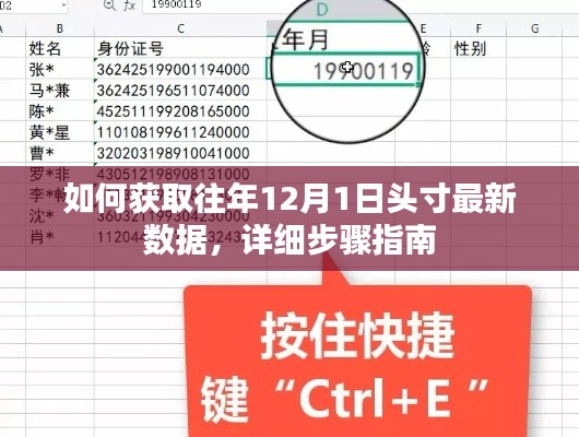 获取往年12月1日头寸最新数据的详细步骤指南