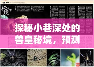 探秘小巷深处的兽皇秘境，预测欧美热门兽皇，独特风情等你来领略——一家不为人知的小店揭秘之旅