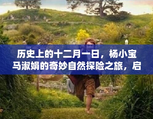 杨小宝马淑娟的十二月一日奇妙探险之旅，寻找心灵绿洲