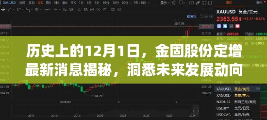 金固股份定增最新动态揭秘，洞悉历史与未来发展动向的12月1日观察