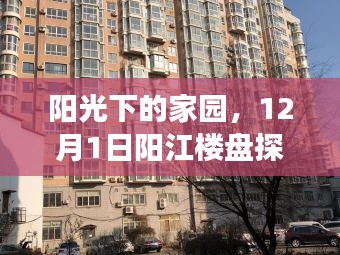 阳光下的家园探秘之旅，阳江楼盘探秘与友情温暖相聚的12月1日记忆