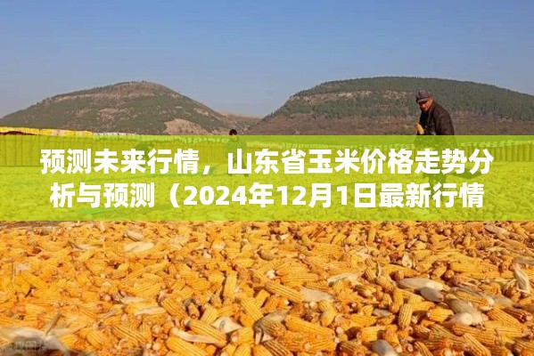山东省玉米价格走势分析与预测，未来行情展望（截至2024年12月最新行情）