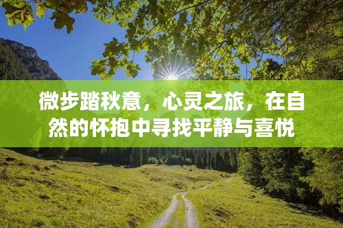 自然怀抱中的心灵之旅，踏秋意，寻平静与喜悦