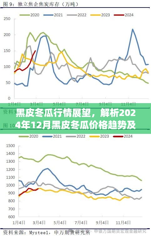 黑皮冬瓜行情展望，揭秘2024年12月价格趋势与体验评测