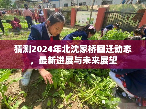 北沈家桥回迁动态，最新进展与未来展望（猜测至2024年）