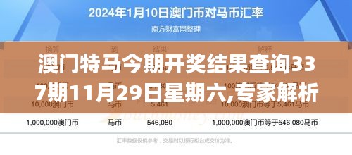 澳门特马今期开奖结果查询337期11月29日星期六,专家解析说明_精简版3.278-5