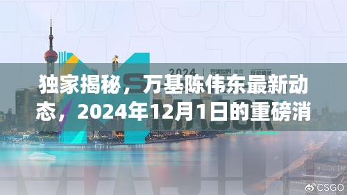 独家揭秘，陈伟东最新动态及2024年重磅消息曝光