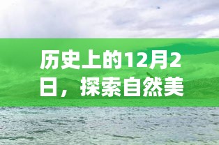 探索自然美景新手游，一场心灵之旅的启程日期——历史上的12月2日