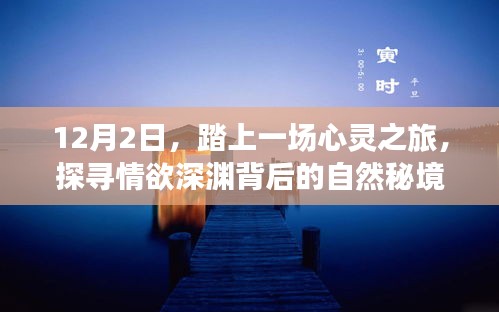 情欲深渊背后的自然秘境，心灵之旅启程于十二月二日