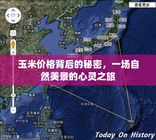 玉米价格背后的秘密，自然之旅的心灵探寻