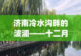 济南冷水沟畔的波澜——十二月二日热门事件回顾