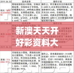 新澳天天开好彩资料大全337期,高效计划设计实施_复古版22.893-4